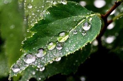 Какая должна быть влажность в квартире Какая должна быть влажность в квартире