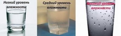 Какая должна быть влажность в квартире Какая должна быть влажность в квартире