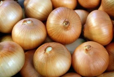 Как вырастить лук из семян за один сезон? Лучшие рекомендации и главные советы Как вырастить лук из семян за один сезон? Лучшие рекомендации и главные советы