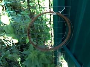 Как построить забор из профлиста своими руками: этапы подготовки и видео пример самостоятельного строительства забора из профлиста