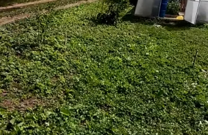 Беседки для дачи своими руками простые: стальные, деревянные, каменные Беседки для дачи своими руками простые: стальные, деревянные, каменные