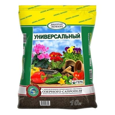 Пересадка комнатных растений — главные правила Пересадка комнатных растений — главные правила