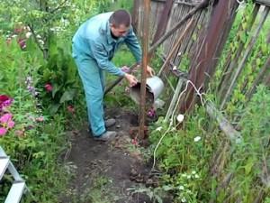 Как построить забор из профлиста своими руками: этапы подготовки и видео пример самостоятельного строительства забора из профлиста