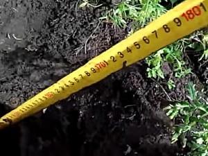 Как построить забор из профлиста своими руками: этапы подготовки и видео пример самостоятельного строительства забора из профлиста