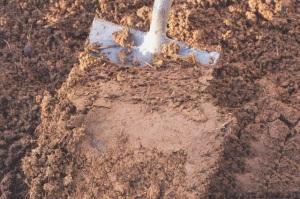 Какой фундамент выбрать для дома из бруса: типы  и рекомендации, какой фундамент дома выбрать Какой фундамент выбрать для дома из бруса: типы  и рекомендации, какой фундамент дома выбрать