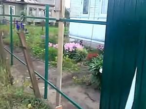 Как построить забор из профлиста своими руками: этапы подготовки и видео пример самостоятельного строительства забора из профлиста