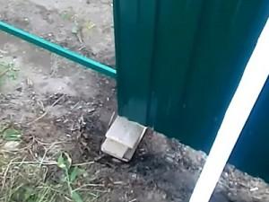 Как построить забор из профлиста своими руками: этапы подготовки и видео пример самостоятельного строительства забора из профлиста