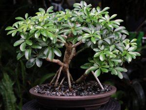 Какая должна быть влажность в квартире Какая должна быть влажность в квартире