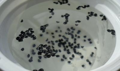 Как вырастить лук из семян за один сезон? Лучшие рекомендации и главные советы Как вырастить лук из семян за один сезон? Лучшие рекомендации и главные советы