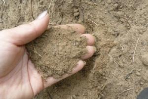 Какой фундамент выбрать для дома из бруса: типы  и рекомендации, какой фундамент дома выбрать Какой фундамент выбрать для дома из бруса: типы  и рекомендации, какой фундамент дома выбрать