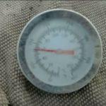 Выращивание грибов в домашних условиях: главные особенности и инструкция для новичков