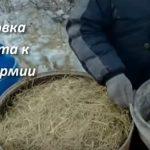 Выращивание грибов в домашних условиях: главные особенности и инструкция для новичков