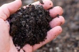 Какой фундамент выбрать для дома из бруса: типы  и рекомендации, какой фундамент дома выбрать Какой фундамент выбрать для дома из бруса: типы  и рекомендации, какой фундамент дома выбрать