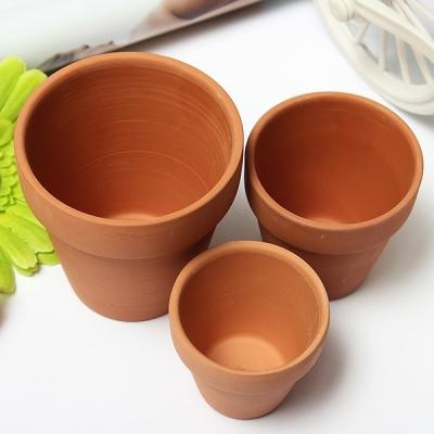 Пересадка комнатных растений — главные правила Пересадка комнатных растений — главные правила