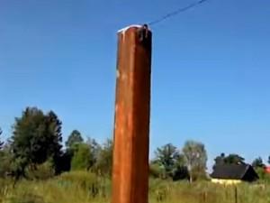 Как построить забор из профлиста своими руками: этапы подготовки и видео пример самостоятельного строительства забора из профлиста