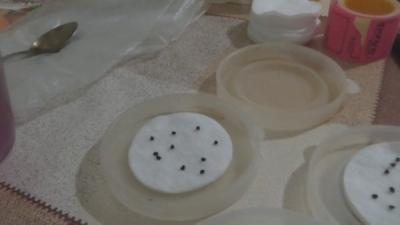 Как вырастить лук из семян за один сезон? Лучшие рекомендации и главные советы Как вырастить лук из семян за один сезон? Лучшие рекомендации и главные советы