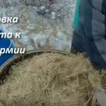 Выращивание грибов в домашних условиях: главные особенности и инструкция для новичков