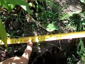 Как построить забор из профлиста своими руками: этапы подготовки и видео пример самостоятельного строительства забора из профлиста