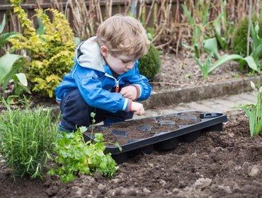 Клумбы своими руками. Как сделать. Идеи и фото Клумбы своими руками. Как сделать. Идеи и фото