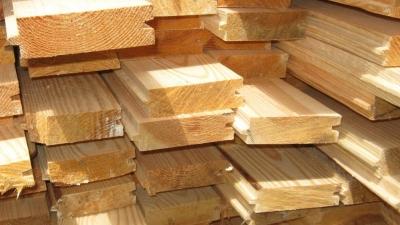 Баня своими руками. Проекты, фото, чертежи и видео Баня своими руками. Проекты, фото, чертежи и видео