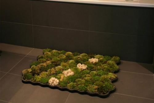 Живой коврик в ванную комнату Живой коврик в ванную комнату