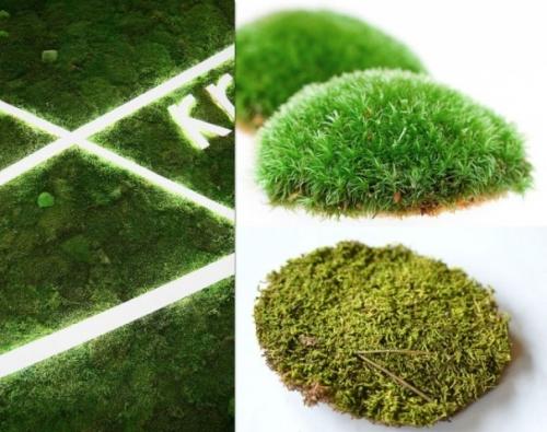 Живой коврик в ванную комнату Живой коврик в ванную комнату