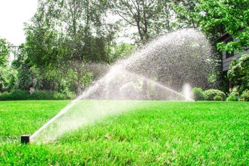 Выбираем дождеватель для полива Выбираем дождеватель для полива