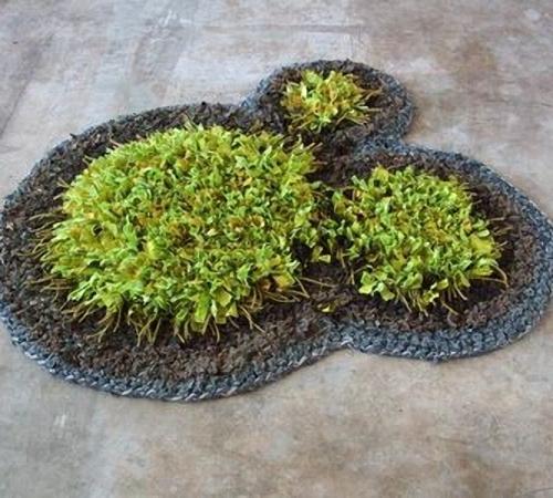 Живой коврик в ванную комнату Живой коврик в ванную комнату