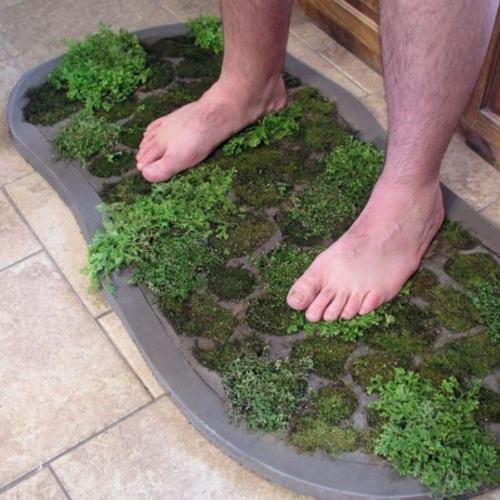 Живой коврик в ванную комнату Живой коврик в ванную комнату