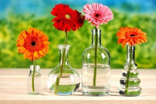 Чем наполнить стеклянную вазу для декора Чем наполнить стеклянную вазу для декора