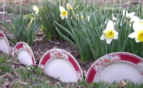 Как оградить клумбу Как оградить клумбу