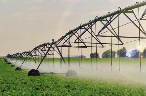 Выбираем дождеватель для полива Выбираем дождеватель для полива