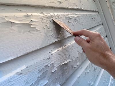 Антисептик для древесины какой лучше выбрать: расчет и способы обработки древесины антисептиком Антисептик для древесины какой лучше выбрать: расчет и способы обработки древесины антисептиком