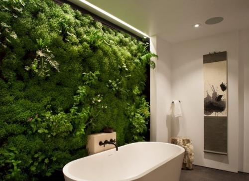 Живой коврик в ванную комнату Живой коврик в ванную комнату