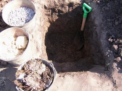 Василистник делавея — очаровательное украшение сада: выращивание и использование в дизайне Василистник делавея — очаровательное украшение сада: выращивание и использование в дизайне