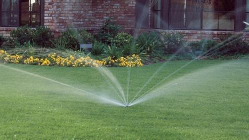 Красивый газон: основные правила ухода Красивый газон: основные правила ухода