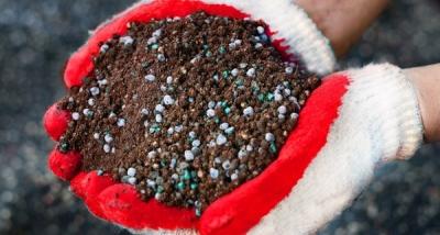 Василистник делавея — очаровательное украшение сада: выращивание и использование в дизайне Василистник делавея — очаровательное украшение сада: выращивание и использование в дизайне