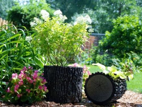 Оригинальное оформление клумб – вторая жизнь для брёвен и пней Оригинальное оформление клумб – вторая жизнь для брёвен и пней