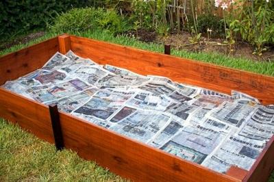 Высокие грядки своими руками: пошагово делаем грядки из досок на даче Высокие грядки своими руками: пошагово делаем грядки из досок на даче