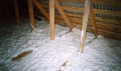 Какой утеплитель не грызут мыши: варианты утеплителей, которые не грызут мыши и крысы Какой утеплитель не грызут мыши: варианты утеплителей, которые не грызут мыши и крысы