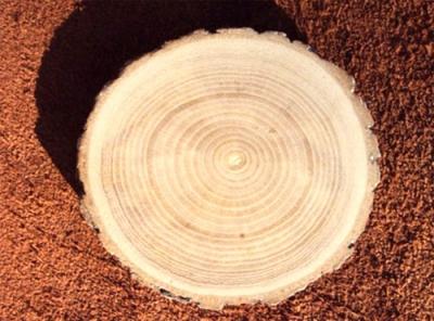 Стол для дачи своими руками: делаем деревянные столы для дачи самостоятельно, изучив пошаговые инструкции