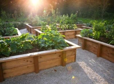 Высокие грядки своими руками: пошагово делаем грядки из досок на даче Высокие грядки своими руками: пошагово делаем грядки из досок на даче