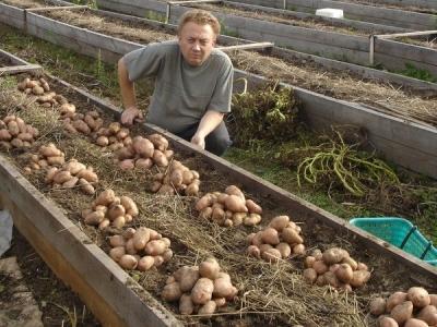 Высокие грядки своими руками: пошагово делаем грядки из досок на даче Высокие грядки своими руками: пошагово делаем грядки из досок на даче