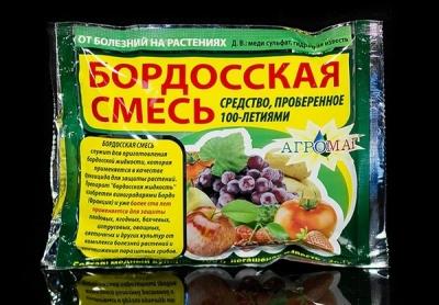 Василистник делавея — очаровательное украшение сада: выращивание и использование в дизайне Василистник делавея — очаровательное украшение сада: выращивание и использование в дизайне