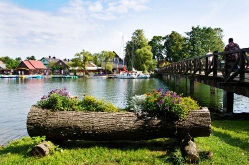 Оригинальное оформление клумб – вторая жизнь для брёвен и пней Оригинальное оформление клумб – вторая жизнь для брёвен и пней