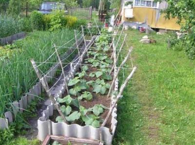 Высокие грядки своими руками: пошагово делаем грядки из досок на даче Высокие грядки своими руками: пошагово делаем грядки из досок на даче