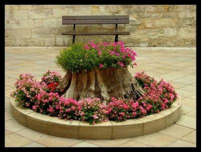 Цветники на даче своими руками: оригинальные идеи по оформлению красивых цветников для начинающих Цветники на даче своими руками: оригинальные идеи по оформлению красивых цветников для начинающих