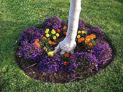 Клумба своими руками: делаем клумбу из подручных материалов на даче Клумба своими руками: делаем клумбу из подручных материалов на даче