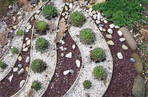 Мраморная крошка в ландшафтном дизайне Мраморная крошка в ландшафтном дизайне