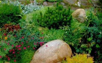 Клумба своими руками: делаем клумбу из подручных материалов на даче Клумба своими руками: делаем клумбу из подручных материалов на даче